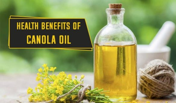 Health Benefits Of Canola Oil
