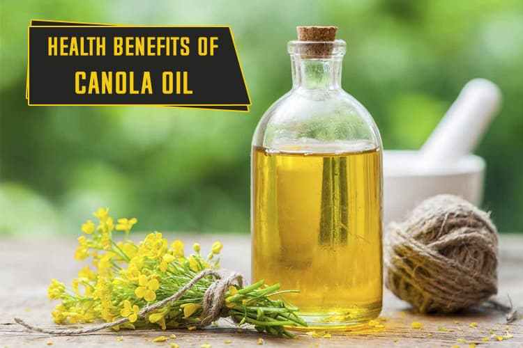 Health Benefits Of Canola Oil
