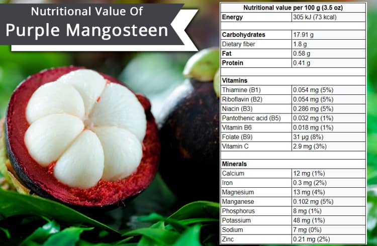 Nutritional Value of Purple Mangosteen