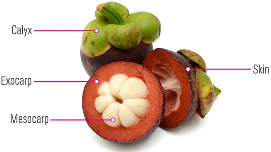 Purple Mangosteen How To Eat