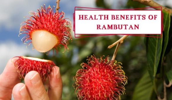 Rambutan Health Benefits