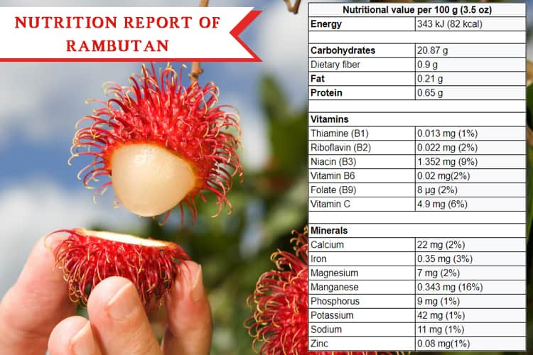 Rambutan Nutrition Report