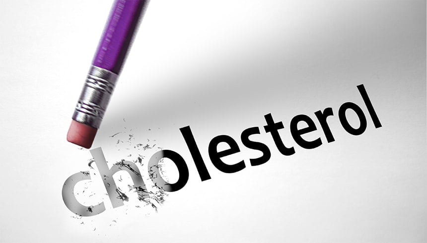 Reduces Cholesterol