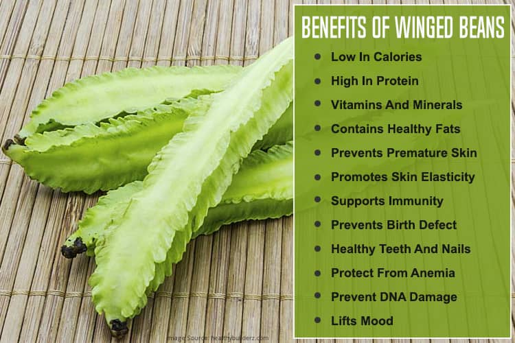 Benefits Of Winged Beans