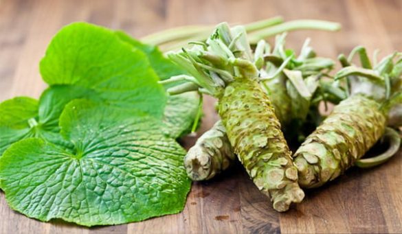 Uses of Wasabi