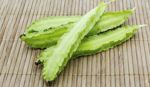 Winged Beans Uses