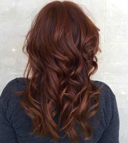 Auburn Browns Hair Color