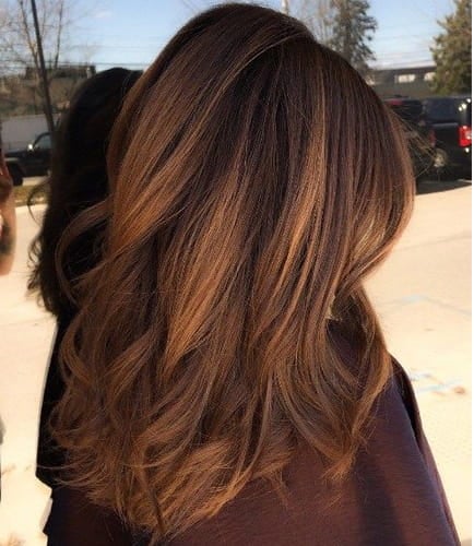 Chestnut Browns hair color