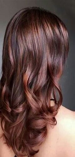 Cinnamon Browns Hair Color