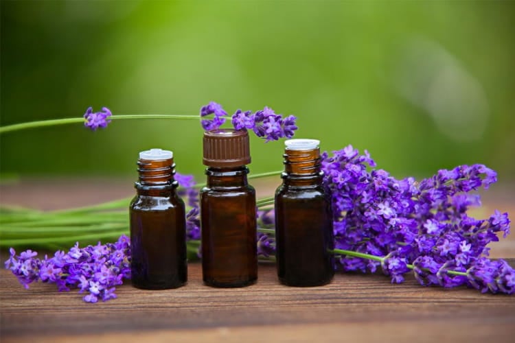Lavender oil for Alternatives To Botox
