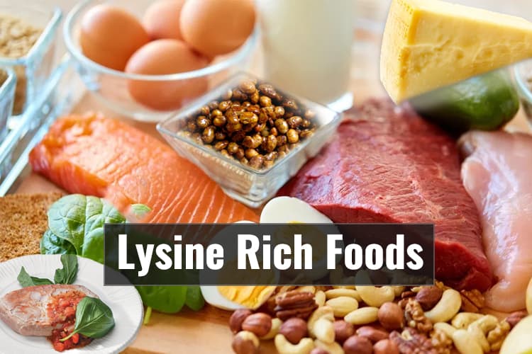 Lysine Rich Foods