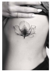 Bloom Like A Lotus