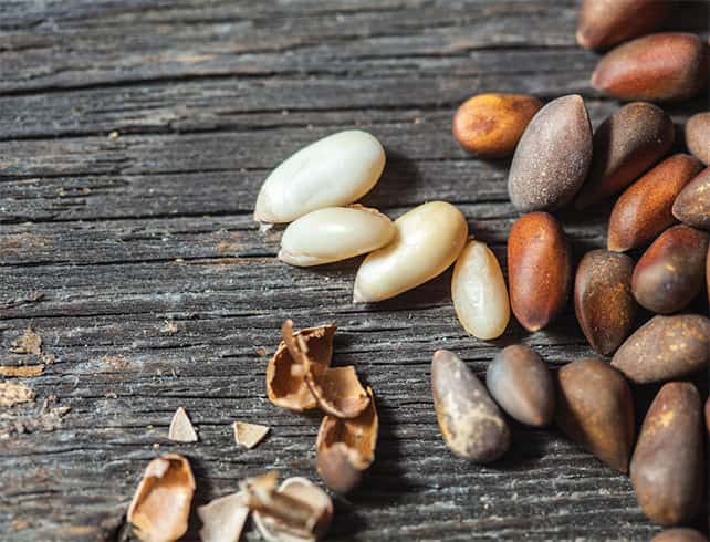 Pine Nuts Side Effects