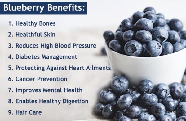 9 Wow some Benefits Of Blueberries That Will Make You Love Them 