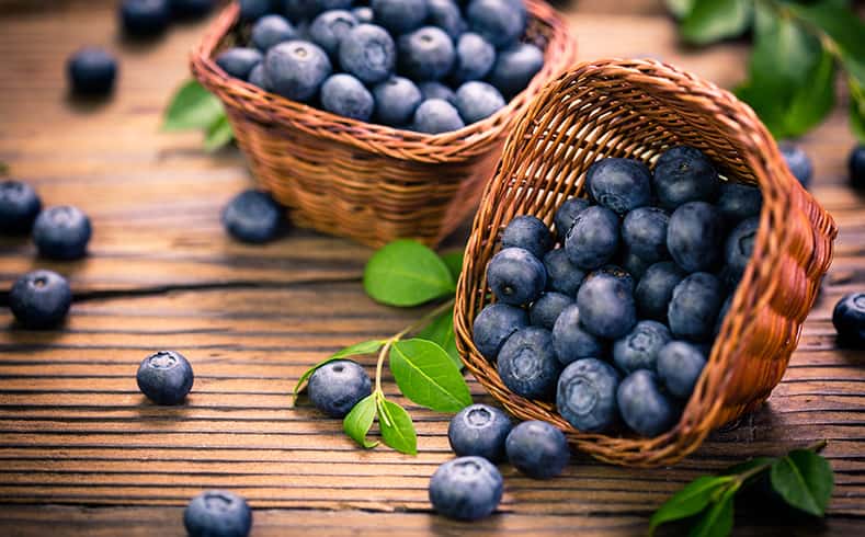 Blueberry Nutrition Facts