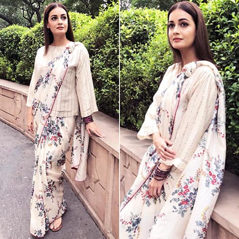 Dia Mirza in Sari