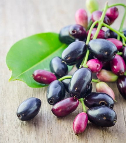 Jamun Fruit Nutrition Value