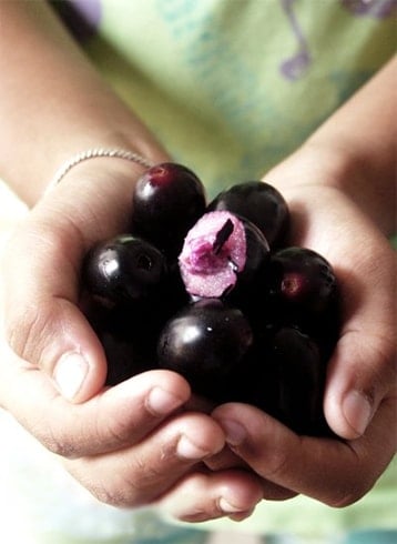 Jamun Health Benefits