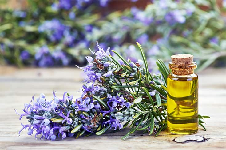 Rosemary Benefits For Skin