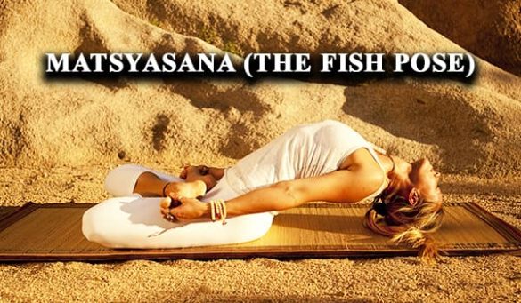 Matsyasana Fish Pose