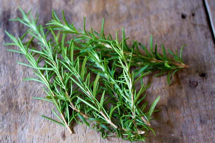 Rosemary Benefits