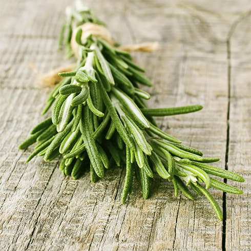 Rosemary Health Benefits