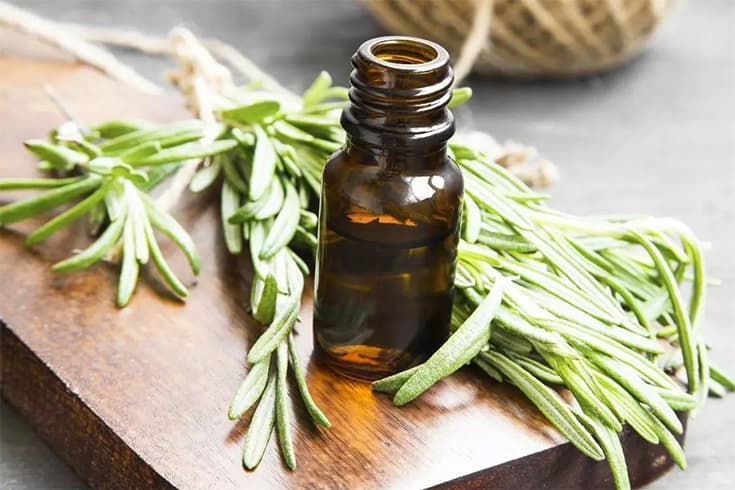 Rosemary Oil