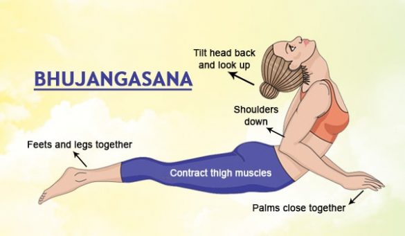 Bhujangasana Benefits