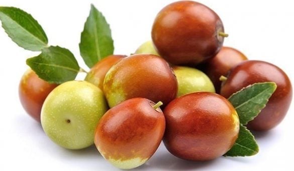 Jujube Fruit