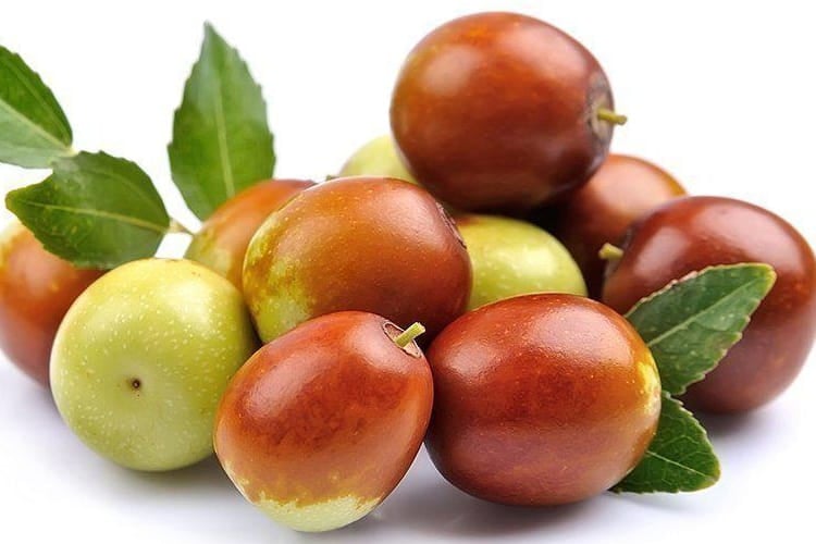 Jujube Fruit