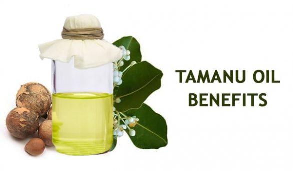 Tamanu Oil Benefits