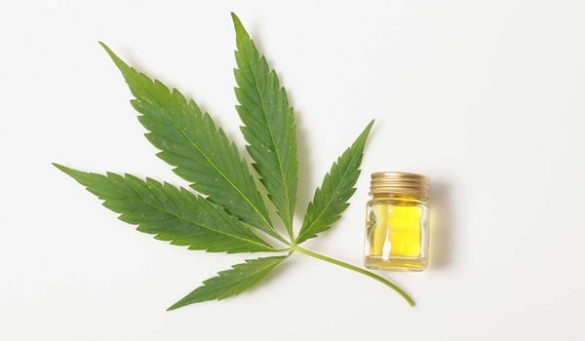What Is Pure CBD Oil