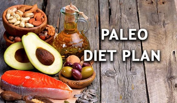 Paleo Diet Plan