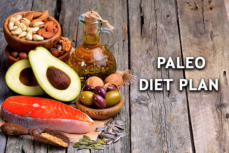 Paleo Diet Plan