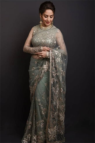 Madhuri Dixit at Deepveer Reception