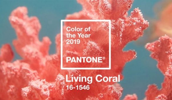 Pantone Colour Of The Year 2019 Living Coral