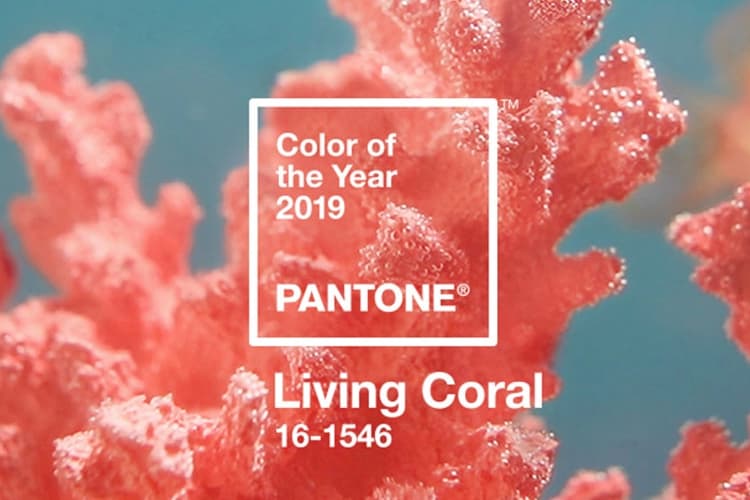Pantone Colour Of The Year 2019 Living Coral