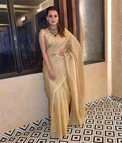 Dia Mirza Anavila Sari