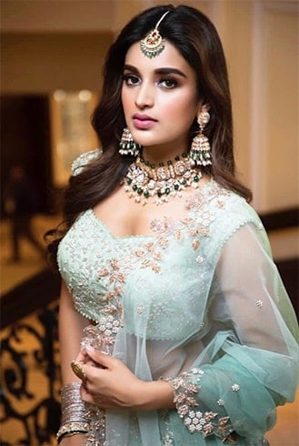 Nidhhi Agerwal Age