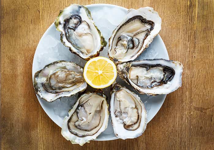 Shellfish