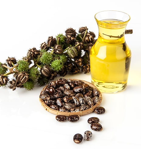 Castor Oil