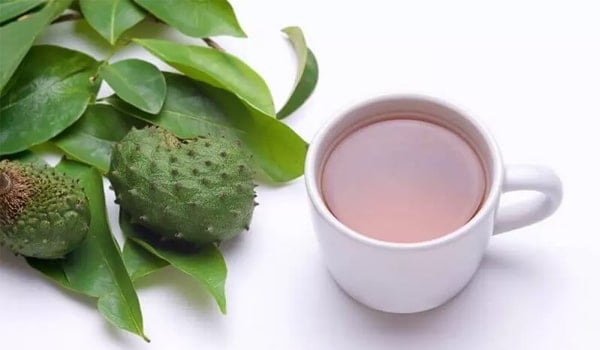 how to make tea from guyabano leaves