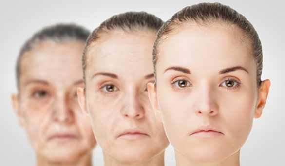 Ayurvedic Anti Aging Creams In India