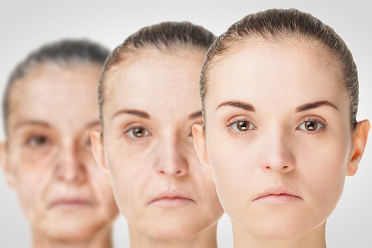 Ayurvedic Anti Aging Creams In India