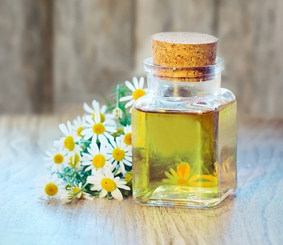 Chamomile Essential Oil