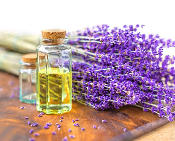 Lavender Essential Oil