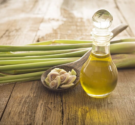 Lemongrass Essential Oil