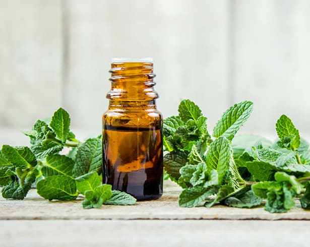 Peppermint Essential Oil