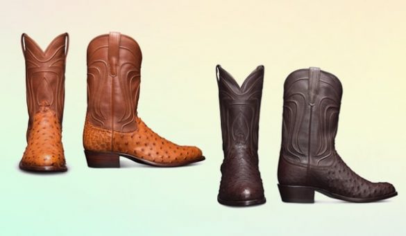 How To Clean Ostrich Leather Cowboy Boots