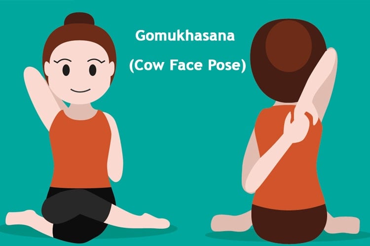 Manga Style Cartoon Yoga Cow Face Pose Stock Illustration - Download Image  Now - Cow Face Pose, Active Lifestyle, Adult - iStock